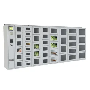 Armoire réfrigérée intelligente pour livraison en chaîne du froid, casier à colis automatisé pour aliments - Product Image 1