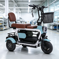 Tricycle Électrique de Transport Personnalisé pour Animaux de Compagnie et Personnes Âgées, Véhicule à Trois Roues pour la Mobilité, Direct Usine AFTFA