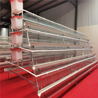 Cage à poules pondeuses de type A pour 160 oiseaux, en acier galvanisé, nouvelle, pour usage domestique, équipement agricole automatique