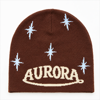 Gorro de Punto Jacquard con Diseño de Calavera Y2K, Personalizado por el Fabricante OEM, para un Estilo Moderno