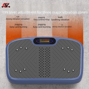 CZFIT Portable Multifunctional <b>Remote</b> <b>Control</b> <b>Vibration</b> Platform Training Machine, High-quality <b>Vibration</b> Fat Reducing Board - Product Image 6