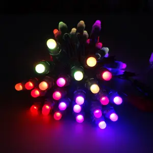 WS2811 12mm diffuses digitales RGB-LED-Pixel-Lichterkette licht Individuell adressierbares LED-Pixel modul