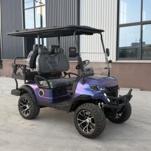 Carrito de Golf Eléctrico Mini <span class=keywords><strong>Moke</strong></span> Certificado por la CE, con Batería de 12V100AH y 60V, para 3-4 Pasajeros, Alcance de 70-110 km - Product Image 4