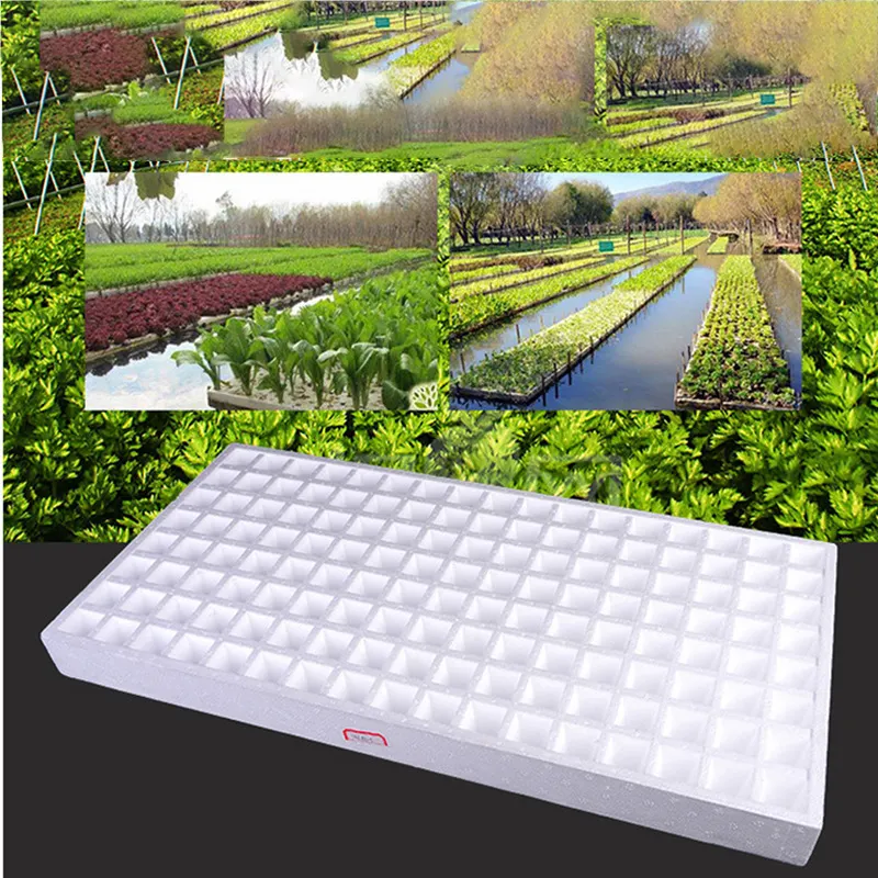 DD1679 galleggiante bianco idroponico 136 celle Starter vassoio per piantine piantagione di erbe vivaio vassoi per la germinazione della schiuma in crescita