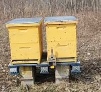 Vaporisateur d'acide oxalique Beestar nouvelle version batterie lithium, sans batterie, outils d'apiculture, vaporisateur électrique pour abeilles