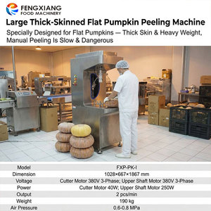 Machine à peler les citrouilles FENGXIANG – Machine à retirer la peau des citrouilles, des courges et des melons - Product Image 4