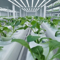 Système d'irrigation hydroponique NFT Seedafarm pour la culture de légumes sans terre, équipement d'irrigation à base de tuyaux haute rigidité