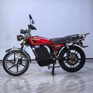 Motos tout-terrain sportives <span class=keywords><strong>Zx10r</strong></span>, motos électriques et motos électriques de 2500 W, etc. pour les adolescents de 16 ans en Afrique pour adultes - Product Image 6
