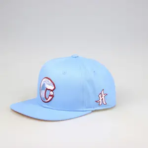 Snapback Cap Fitted Hat Embroidery Patch Sky Blue 6 Panel Classic Sport Cap