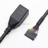 24V 12V Strom USB 8Pin Buchse Anschluss an 2,54 MM-8P Anschluss 0,15 M Schwarzes Kabel