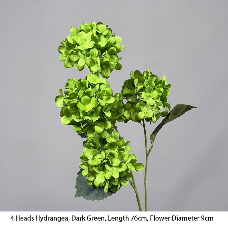 4 Heads Hydrangea