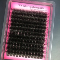 Kit d'extension de cils DIY avec segments de cils en éventail pré-coupés, personnalisables, avec adhésif et scellant, pour volume, marque privée