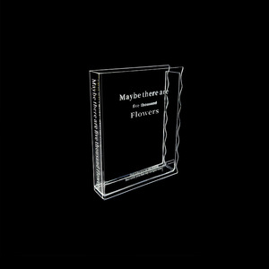 Vaso per Fiori Creativo a Forma di Libro, Vaso in Acrilico, Vasi Decorativi Moderni per Piante, Bottiglie Decorative per Regali di Nozze e Arredamento Casa - Product Image 5