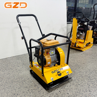 Compacteur de plaques robuste GZD 20KN, à conducteur marchant, moteur essence 5,5 CV pour le pavage, l'aménagement paysager et le compactage du sol
