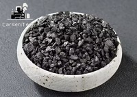 Carseritech Chine : Agent auxiliaire à base de charbon actif granulaire noir de haute pureté, fonction d'absorption, meilleur prix usine