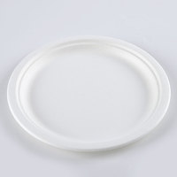 Boîtes à lunch jetables biodégradables de canne à sucre et de bagasse de 6 pouces maintenant disponibles pour le marché des EAU