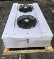 Beifeng Fabrieksleverancier Dh Dubbelzijdige Blaas Commerciële Verdamper Luchtkoeler Ventilator Verdamper Giet Voor Vriezer Kamer