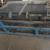 Nouvelle clôture en treillis métallique Agricon pour ferme et bétail, galvanisée, maille losange, trous de 25-100 mm, mailles de 1,20-5,0 mm, pour enclos animaux