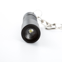 1aaa batterie portable poche mini cadeau souvenir zoomable en aluminium LED porte-clés lampe de poche porte-clés porte-clés lampe torche