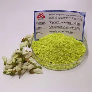 CGMP Factory Supply Quercetin Dihydrate 98% Sophora Japonica Extract Quercetin Powder