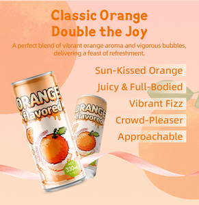 Produttore di bevande analcoliche Private Label Prime bevande esotiche sapore rinfrescante <span class=keywords><strong>frizzante</strong></span> bevanda gassata Oem all'ingrosso in cina - Product Image 4