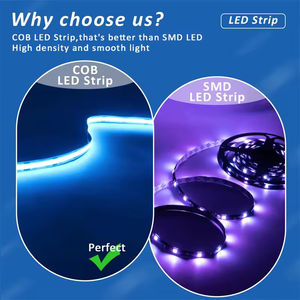 Tira de Luces Inteligente en Oferta, Tira de Luces Inteligente GU10 E27, Tiras de Luces Inteligentes Sengled a Buen Precio - Product Image 3