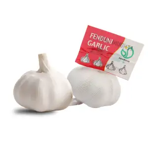 Wholesale Fresh Garlic to Middle-East Market