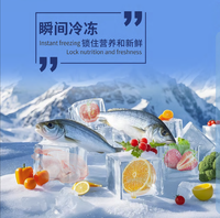 Machine à glace en flocon d'eau douce de 1 tonne Compresseur-Centric Ice Maker pour les fruits de mer congelés