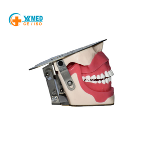 Modelo de Simulación de Anestesia con Alerta Audible para Escuelas y Hospitales - Product Image 3