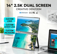 OEM ODM Moniteur portable double 14 pouces 2.5K WQXGA 2560x1600 60Hz 16:10 100% SRGB IPS Type C HDMI pour ordinateur portable Mac téléphone