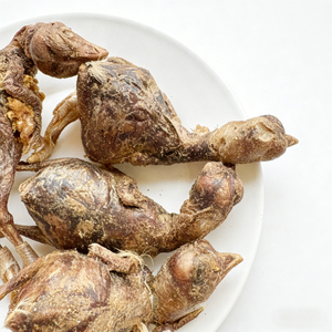 Friandises pour chats et chiens en gros, marque privée, OEM, en vrac, naturelles, lyophilisées, à base de poussins d'un jour riches en protéines, pour animaux de compagnie - Product Image 5