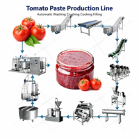 ORME Turnkey Fruitjam Productielijn Automatische Was-, Sorteer-, Verpulverings-, Concentratie-, Kook- en Afvulmachine