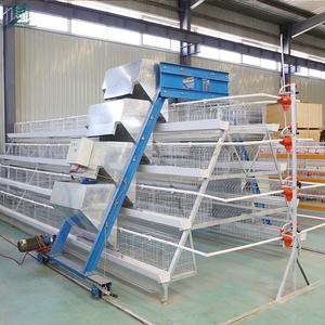 Conception moderne la plus populaire ferme de volailles de poulet de l'Ouganda 10000 5000 cages de poules pondeuses de poules pondeuses - Product Image 4