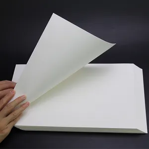 China 350gsm Coated Fbb Ivory Board Paper Wholesale 350gsm Coated White SBS Duplex Board Paper