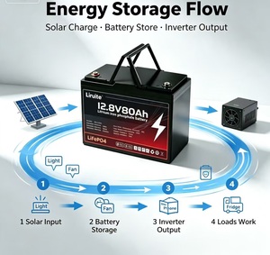 Paquete de Baterías Lifepo4 de 25.6V 300Ah 7.68kWh con BMS JBD de 200A para Almacenamiento de Energía en el Hogar, Energía Solar Fuera de la Red, Respaldo - Product Image 5