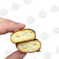 Vente en gros de biscuits au chocolat Halal Ladyfinger, barres de biscuits enrobées de chocolat, 30 pièces, boîte de présentation sur comptoir, emballage individuel, collation croustillante