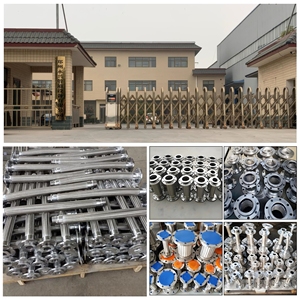 Manguera flexible de metal Manguera trenzada de acero inoxidable con brida fija-Solución de manguera de metal corrugado duradero para sistemas de agua - Product Image 6