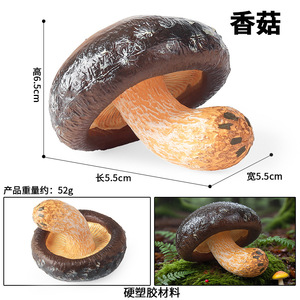 Modelos de simulación de hongos transfronterizos yxs, Pleurotus eryngii auténtico, Doble Abulón, Hongo de la cuerda venenoso, Morchella - Product Image 3