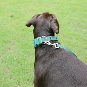 भारी शुल्क सामरिक पालतू कॉलर त्वरित रिलीज मैकरोन प्रशिक्षण कुत्ते कॉलर लेआश ग्रेहाउंड कोलेरनोपॉरेन स्ट्रिप्ड मखमली चौड़ा - Product Image 2