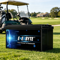 Paket Baterai Li-Ion Enerbyte Deep Cycle Solar LiFePO4 Lithium Ion untuk RV, Golf Cart, AGV, ISO
