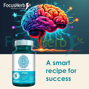 Complément Cérébral FocusHerb OEM : Poudre de Vitamines Complexe, Capsules de Phosphatidylsérine (PS) de Tournesol - Product Image 3