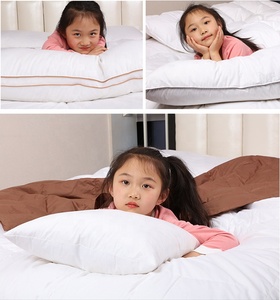 Đệm Lưng Ghế Sofa Hoặc Gối Kê Đệm Nhồi Lông Vũ Bên Trong Đệm Chèn Lông Vịt - Product Image 3