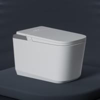 WC intelligent universel avec bidet électrique à double chasse, évacuation en S, OEM/ODM, pour hôtels