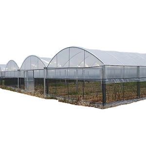 Nouveau design de haute qualité pour plantes agricoles, <span class=keywords><strong>abri</strong></span> contre la pluie pour tomates, <span class=keywords><strong>kit</strong></span> de serre multi-portées - Product Image 1