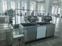 Automatische tomatenpuree productielijn 500kg/uur, tomatensaus verwerkingsmachine met CE-certificering