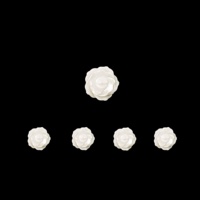 Perles de nacre blanches naturelles en forme de rose et de fleur de prunier, prêtes à être expédiées, pour la fabrication de bijoux DIY, en vrac