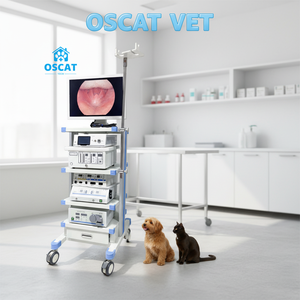 Endoscope CMOS OSCAT pour cliniques vétérinaires, inspection et traitement des animaux avec un grand angle de flexibilité - Product Image 3