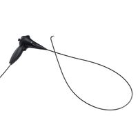 Équipement d'endoscopie vétérinaire portable et flexible BESDATA pour chevaux, chiens et examen des animaux équins : éliminez l'ignorant et laisser la voie libre à la découverte.