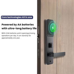 מערכת נעילת דלתות חכמה אינטגרלית למלונות עם כרטיס פתיחה, מערכת בטיחות חכמה עם תוכנת ניהול מלונות, מנעול חכם למלונות עם מפתח - Product Image 3