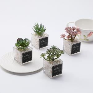 環境に優しい軽量のクリスマス、感謝祭、イースター、新年用のリアルなミニチュア人工多肉植物の鉢植え - Product Image 3
